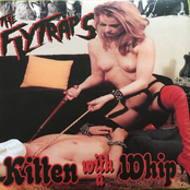 Kitten with a Whip