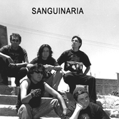 Sanguinaria