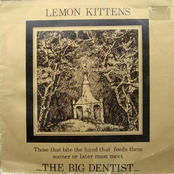 Oath by Lemon Kittens