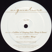 Drop It Down by Calibre & Singing Fats