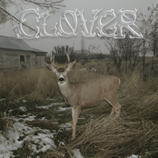 Clover [Explicit]
