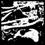 Black Bones
