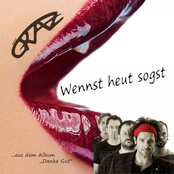 Wennst heit sogst (dass d'mi' mogst) (Single Version)
