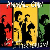 The Ins and Outs of Terrorism!