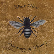 Pert Near Sandstone: Discovery of Honey
