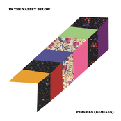 In The Valley Below: Peaches (Remixes)
