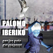 palomo iberiko