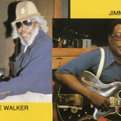 Jimmy Rogers & Big Moose Walker