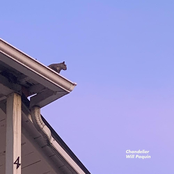 Will Paquin: Chandelier