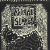 animal slaves