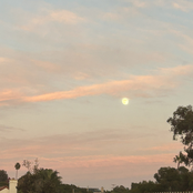 Joshua Slone: Your Place at my Place