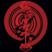 Falln Angel - Single