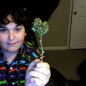 andy milonakis