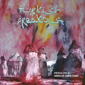 Turkish Freakout (Psych-Folk Singles 1969-1980)