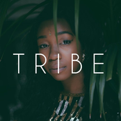 Tribe - Single