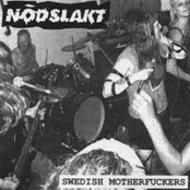 Swedish motherfuckers CDR