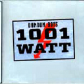 1001 Watt