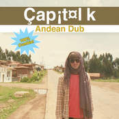 Andean Dub by Capitol K