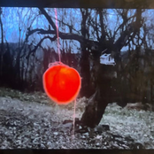 Smaller than the universe