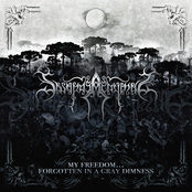 My Freedom... Forgotten in a Gray Dimness