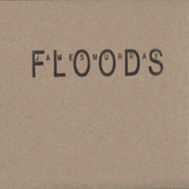 Floods by James Murray