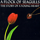 Suicide Day by A Flock Of Seagulls