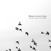 Stranger by Black Swan Lane