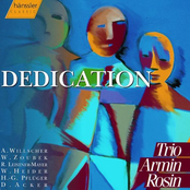 Armin Rosin Trio: Willscher / Zoubek / Heider