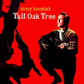 Tall Oak Tree by Dorsey Burnette