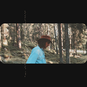 the forest that sang back