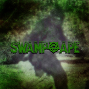 Swamp Ape