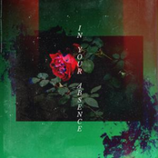 In Your Absence