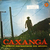 O Maior Repentista do Brasil