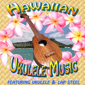 Hawaiian Ukulele Music