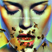 Collective Soul: Dosage