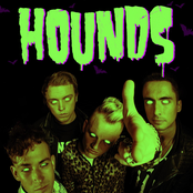 Hounds