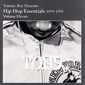 hip hop essentials (1979-1991) - vol. 11