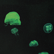 The most gorgeous Sleep