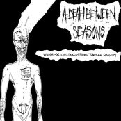 Weighing Contradiction Through Gravity