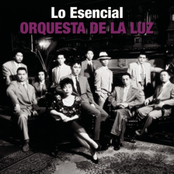 Arroz Con Salsa by Orquesta De La Luz