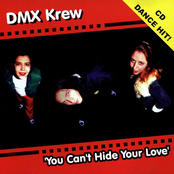 Who Got The Funk? by Dmx Krew