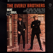 I Almost Lost My Mind by The Everly Brothers