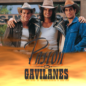 Pasión De Gavilanes