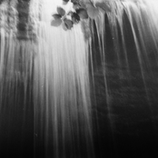 Tending to the Mirage - EP