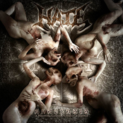 Malediction by Hate