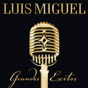 Ahora Te Puedes Marchar by Luis Miguel