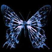 THE NIGHT ? 1.Death of sunset