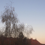 Raum als Zeit