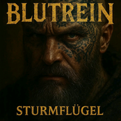 Sturmflügel