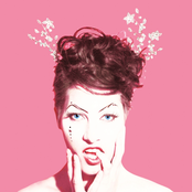 The Killing Type by Amanda Palmer